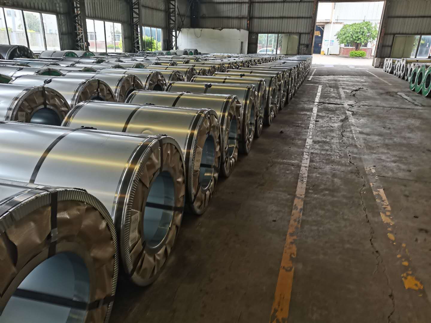 Galvanized Steel Coils