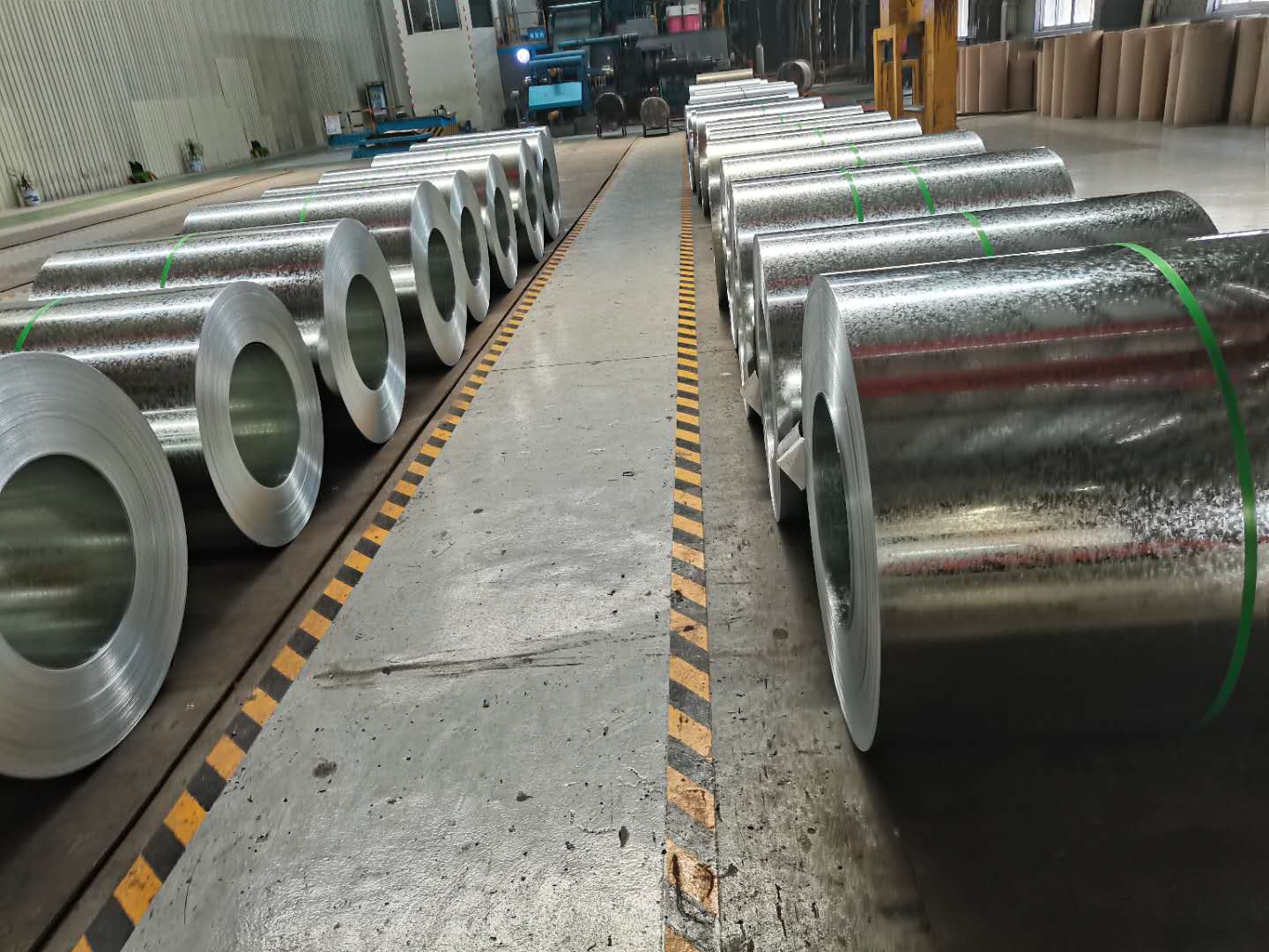Galvanized Steel Coils