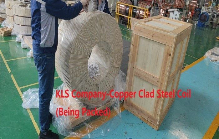 Copper Clad Steel Coil
